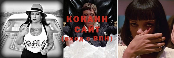 МДПВ Богородицк