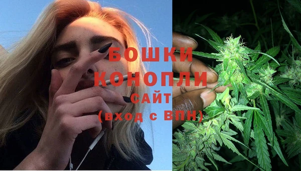 дмт Белокуриха