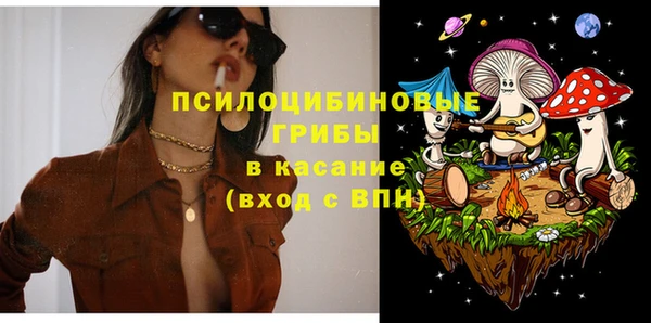 МДПВ Богородицк