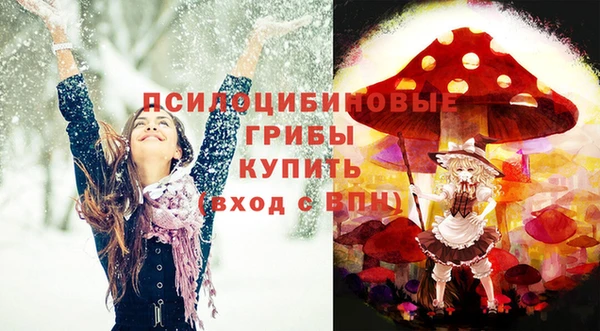 МДПВ Богородицк