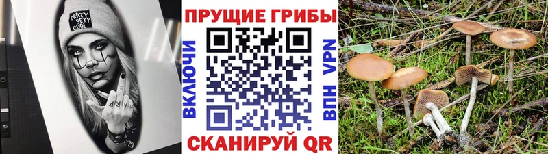 Псилоцибиновые грибы GOLDEN TEACHER  Колпашево 